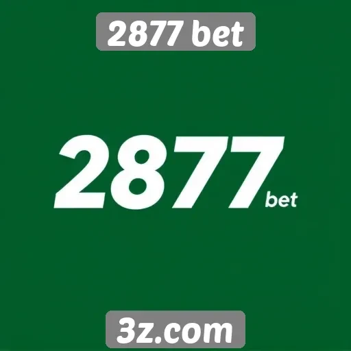 Experiência do usuário no site 2877 bet